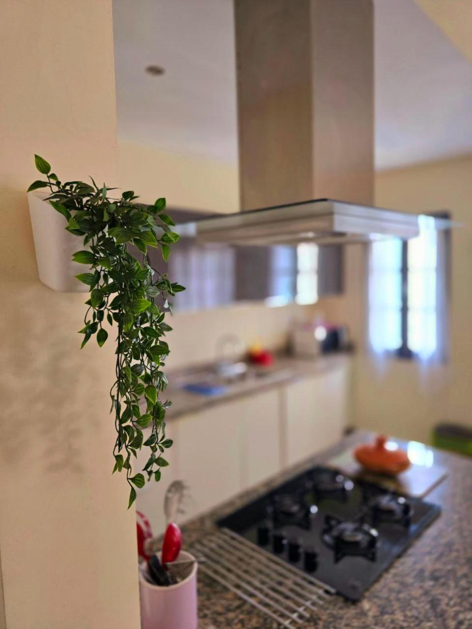 Apartamento Authentique Et Chic En Plein Centre
